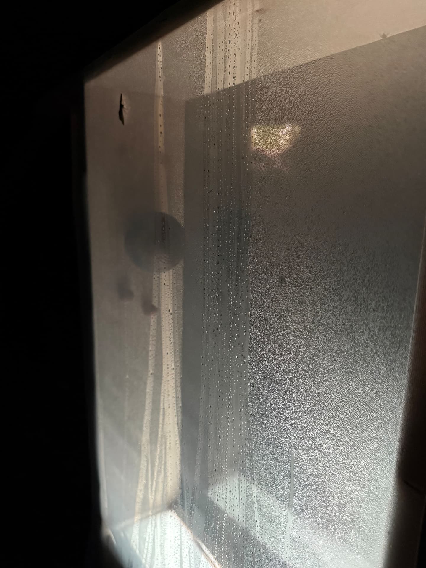 Detail of condensation on the vitrine glass