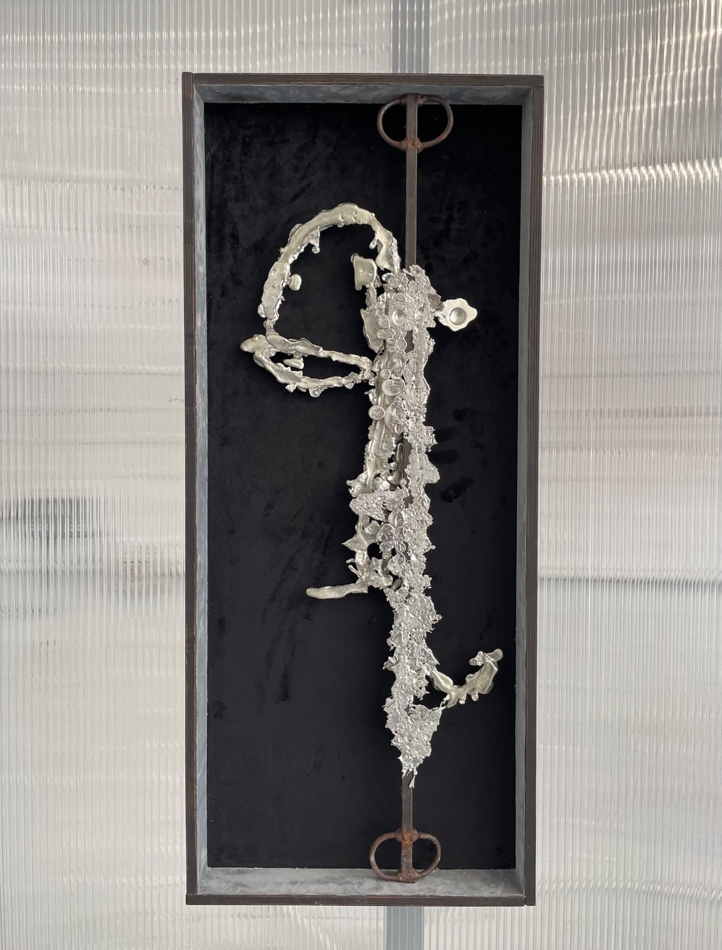 Cast metal form mounted on black velvet in a dark wooden box frame