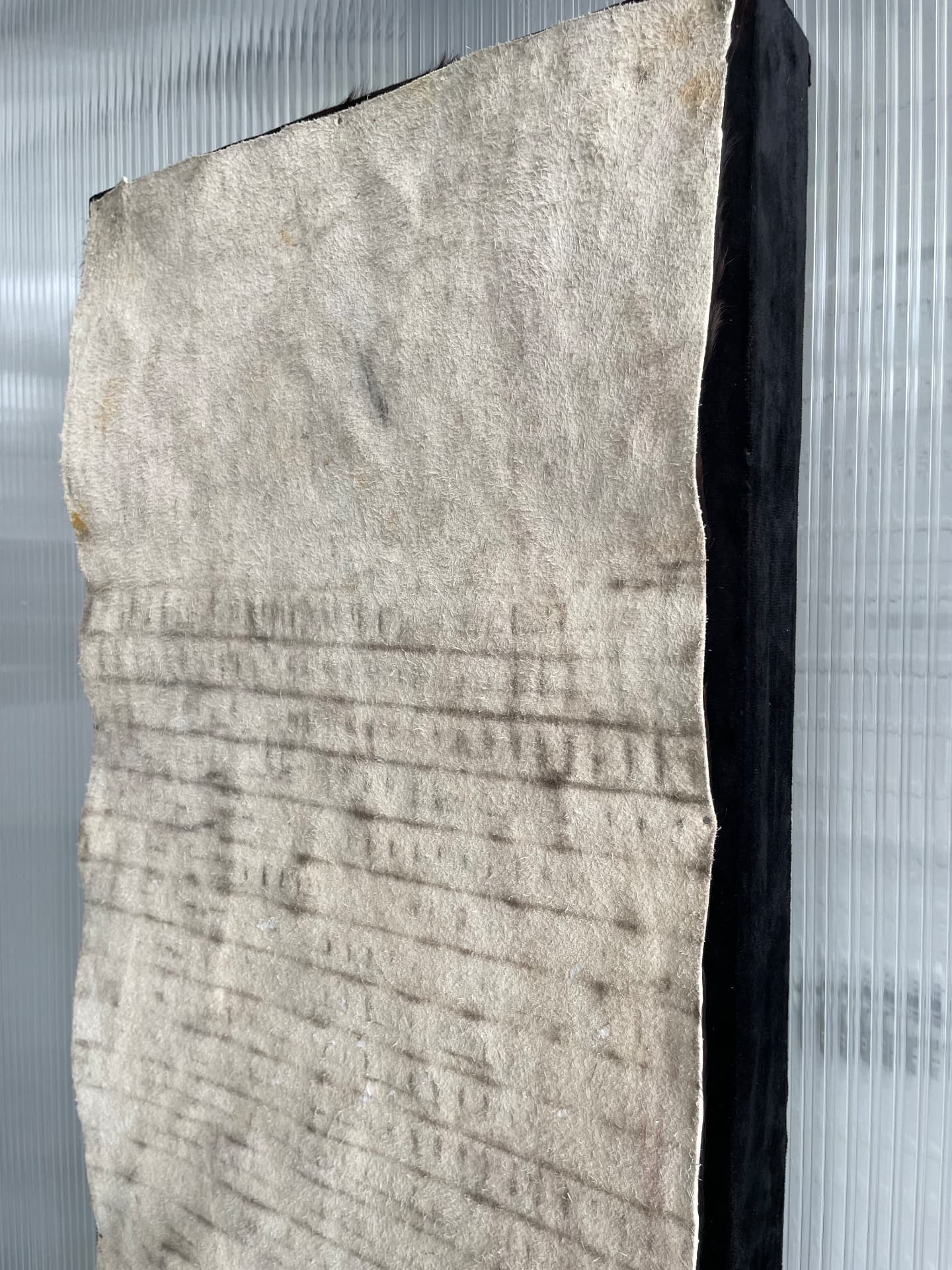 Close-up of the textured cowhide surface with embossed lines