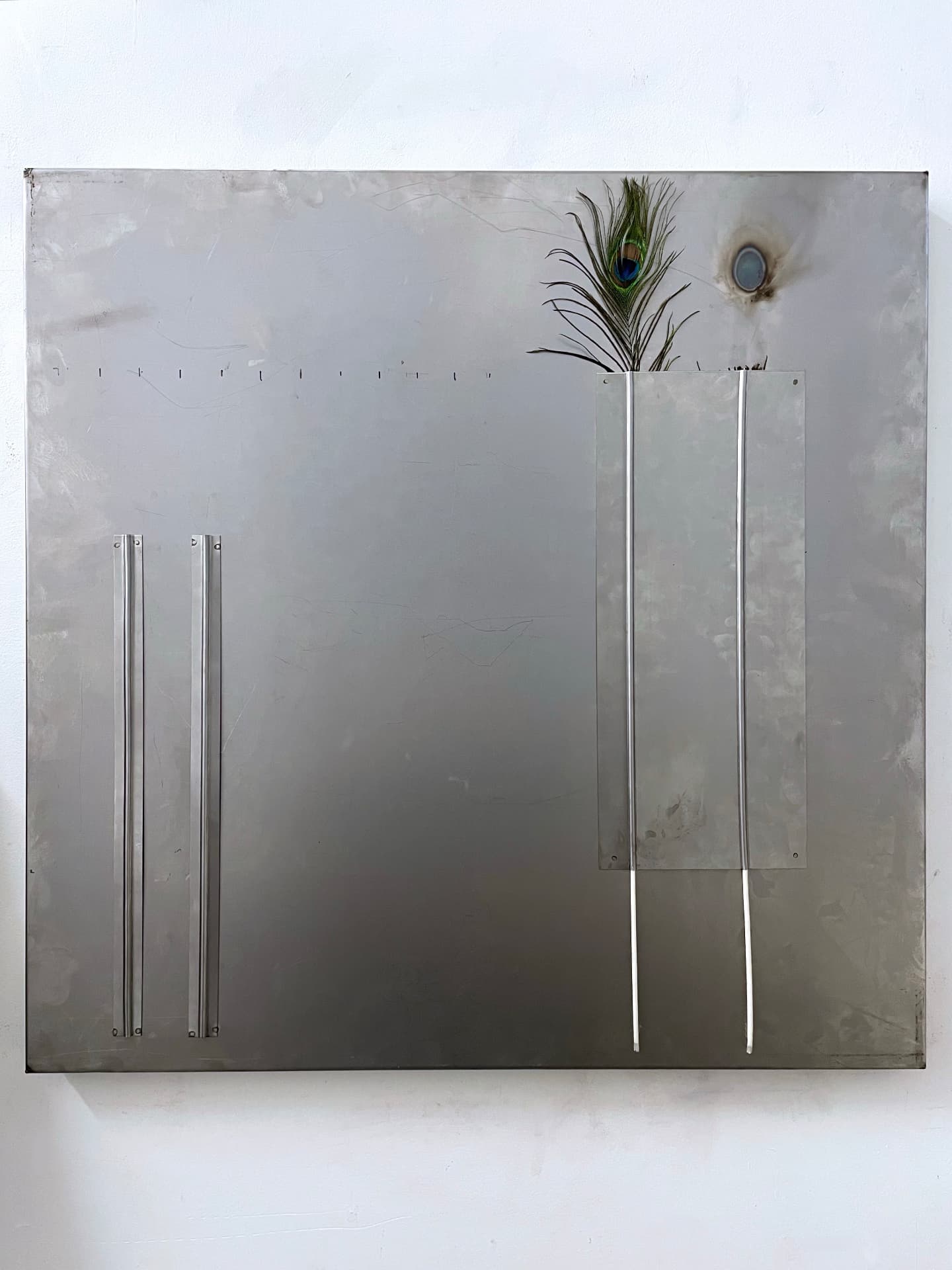 Large steel panel with a peacock feather and thin white lines
