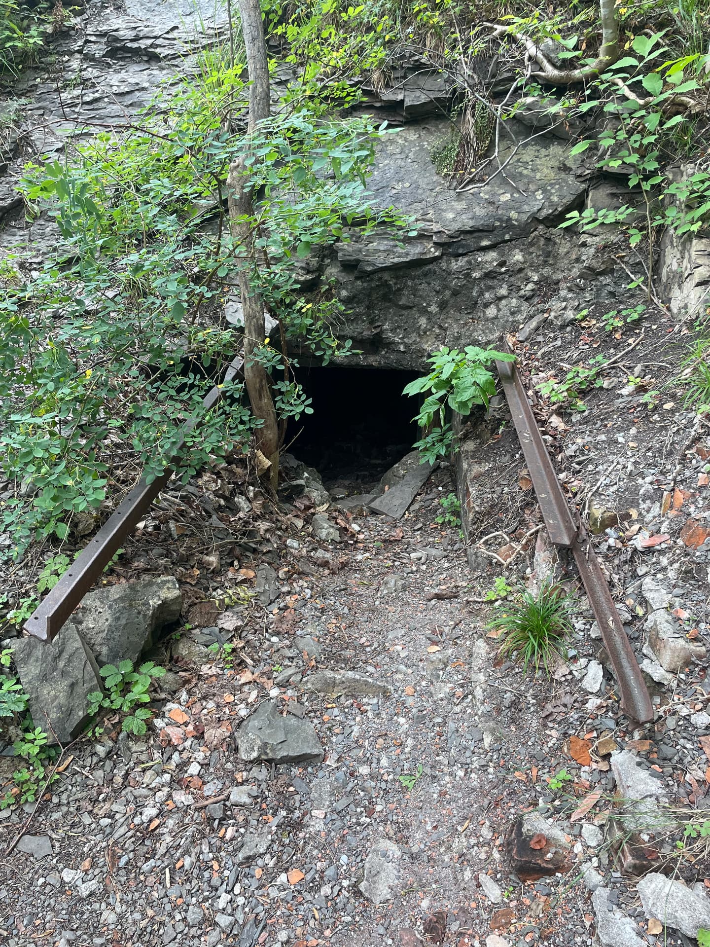 Entrance to the WW2 cave on Hovedøya, framed by rock and vegetation